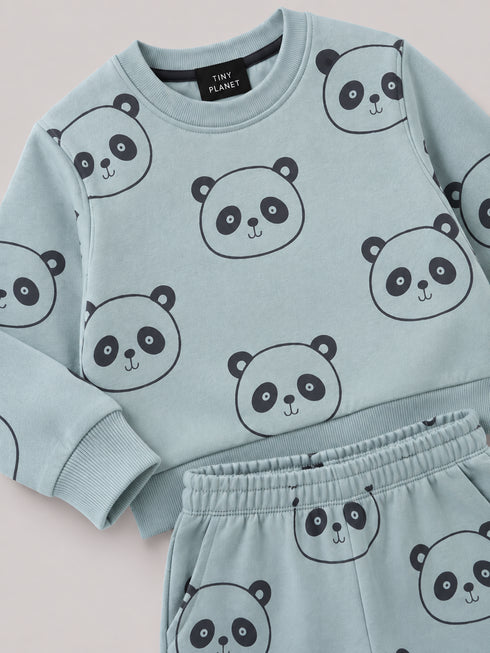 The Panda Themed Fleece Suit (Sage Green)