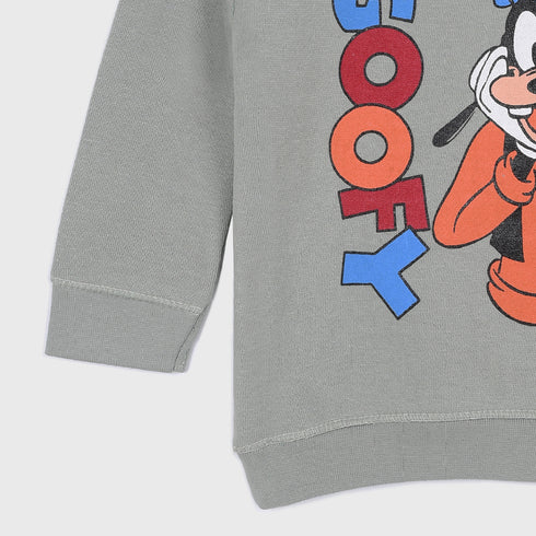 Goofy Fleece Sweatshirt (Green)