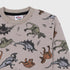 Dinosaur Fleece Sweatshirt (Grey)