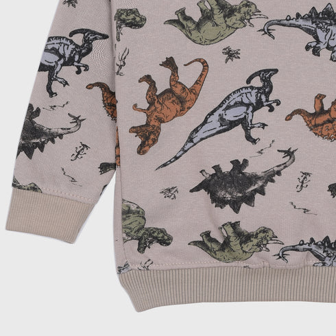 Dinosaur Fleece Sweatshirt (Grey)