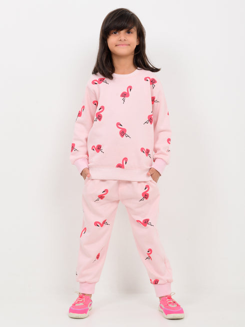 Flamingo Themed Fleece Suit (Baby Pink)