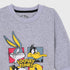 Looney Tunes Fleece Tracksuit (Grey)