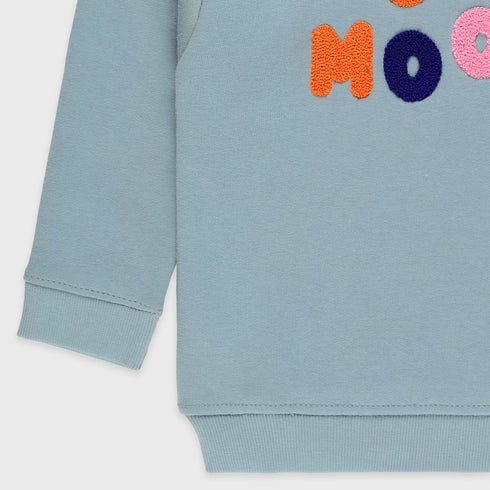 Towel Print Terry Sweatshirt (Sky Blue)