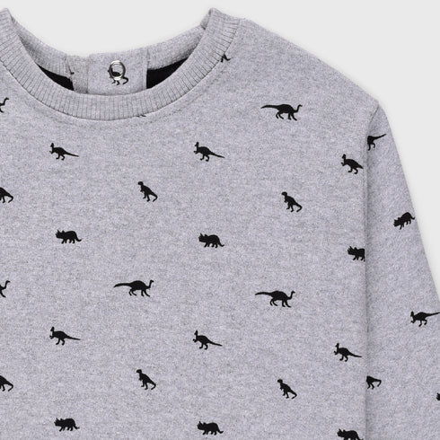 Dinosaur Printed Terry Sweatshirt (Grey)