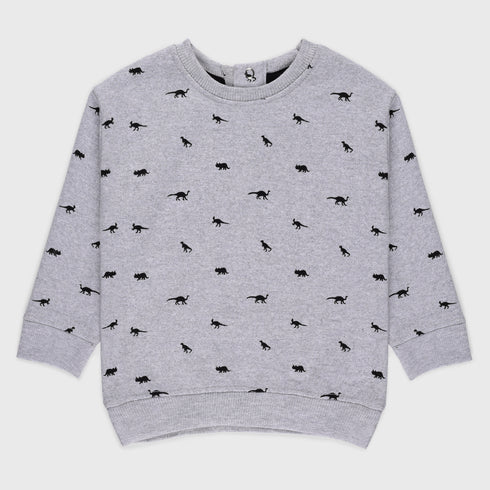 Dinosaur Printed Terry Sweatshirt (Grey)