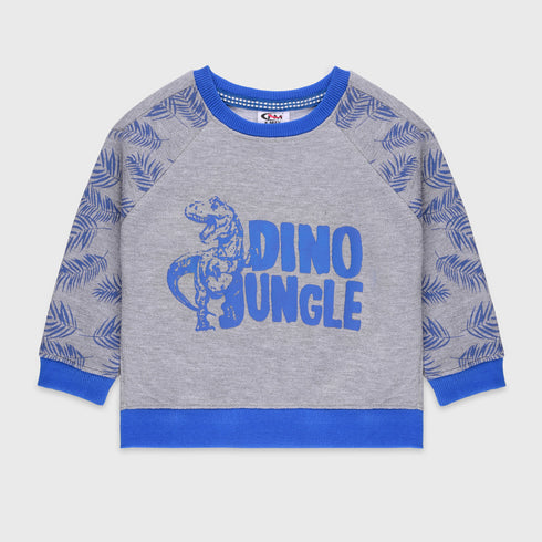 Dino Jungle Fleece Sweatshirt (Grey)