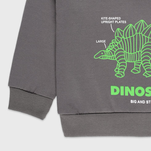 Dinosaur Printed Fleece Sweatshirt (Dark Grey)