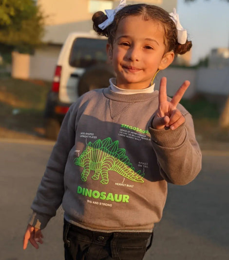 Dinosaur Printed Fleece Sweatshirt (Dark Grey)