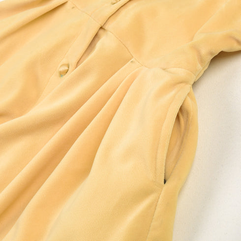 The Graceful Velvet Frock (Yellow)