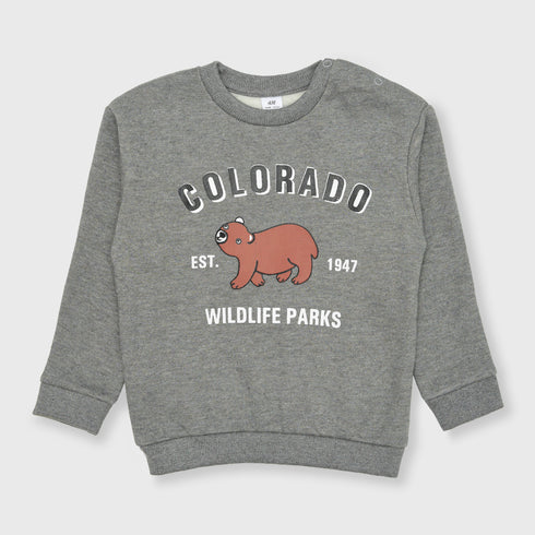 H&M Colarado Bear Fleece Sweatshirt (Grey)