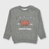 H&M Colarado Bear Fleece Sweatshirt (Grey)