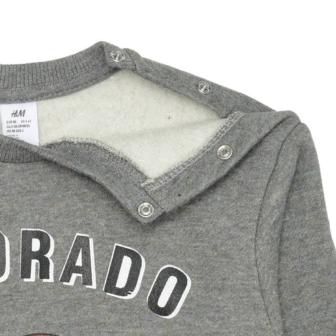 H&M Colarado Bear Fleece Sweatshirt (Grey)