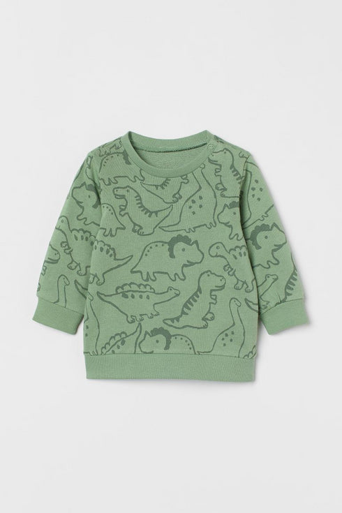 H&M Dinosaur Fleece Sweatshirt