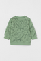 H&M Dinosaur Fleece Sweatshirt
