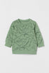 H&M Dinosaur Fleece Sweatshirt